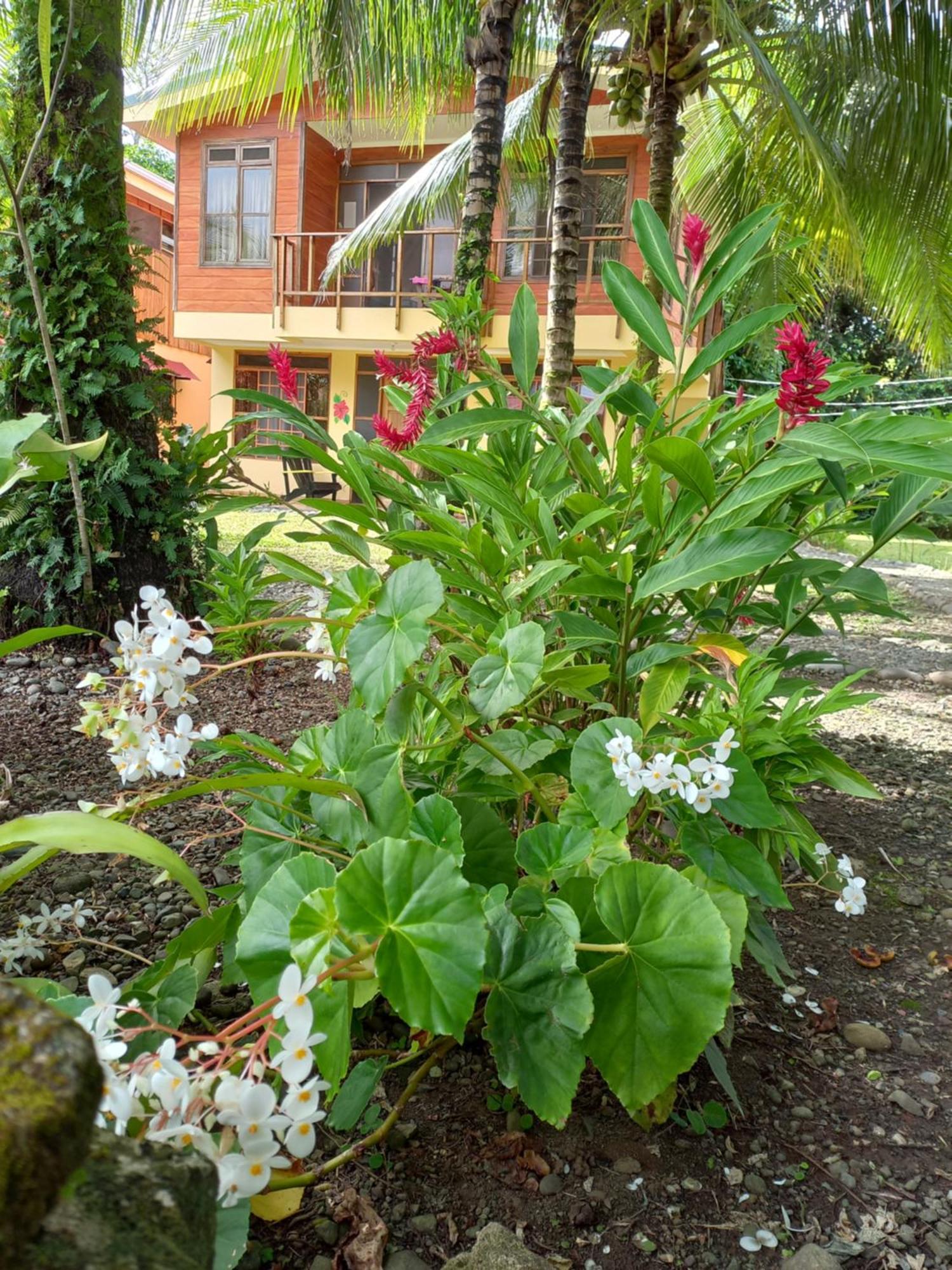 Babilonia Aparthotel Cahuita Buitenkant foto