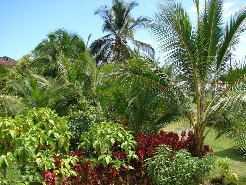 Babilonia Aparthotel Cahuita Kamer foto