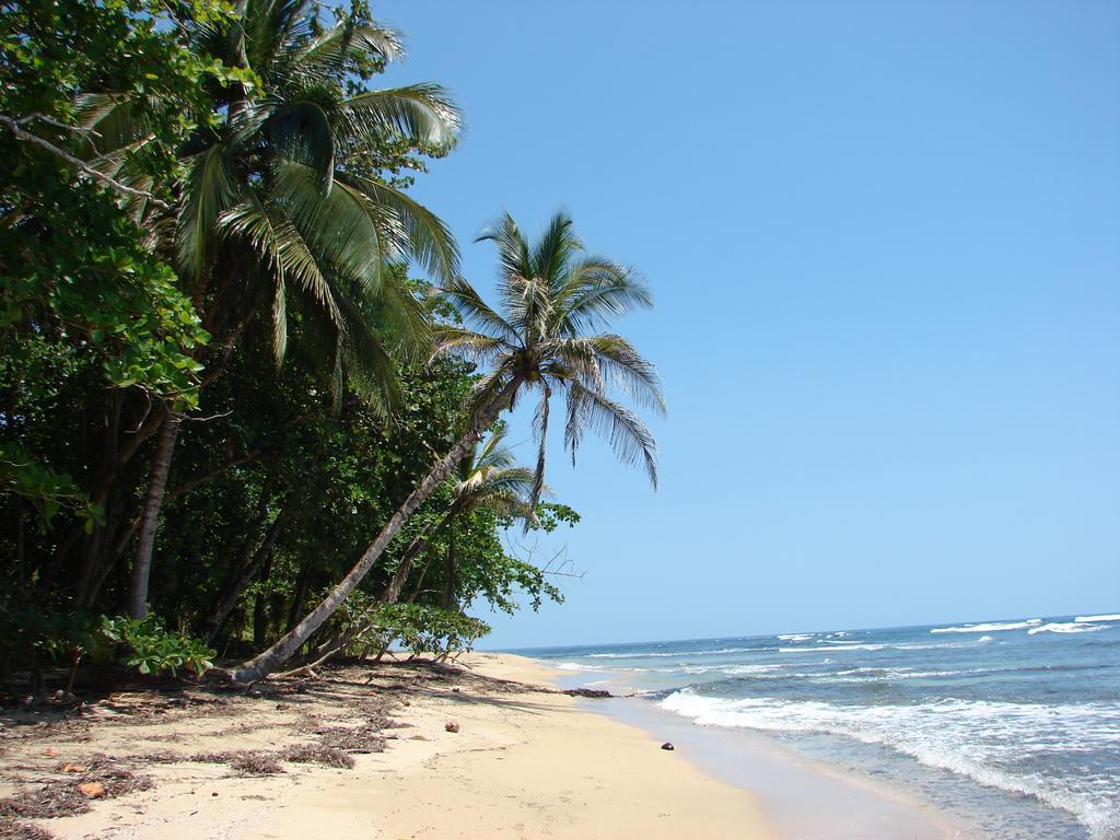 Babilonia Aparthotel Cahuita Buitenkant foto