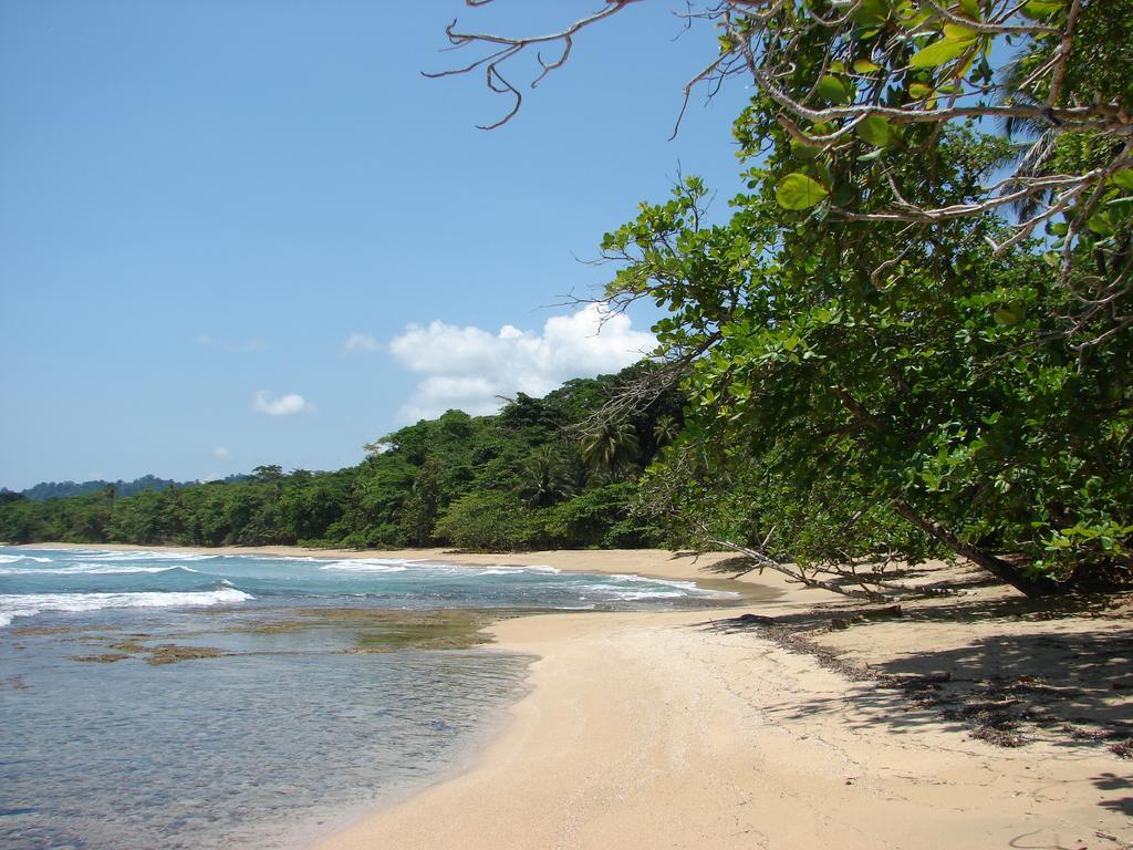 Babilonia Aparthotel Cahuita Buitenkant foto
