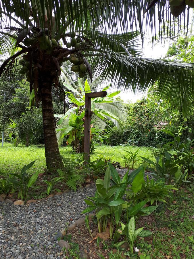 Babilonia Aparthotel Cahuita Buitenkant foto