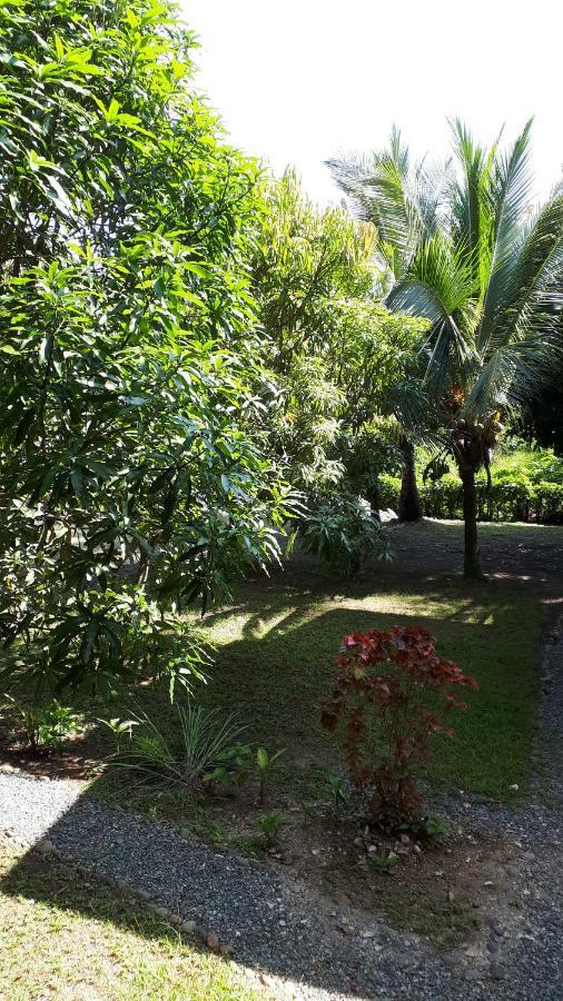 Babilonia Aparthotel Cahuita Buitenkant foto